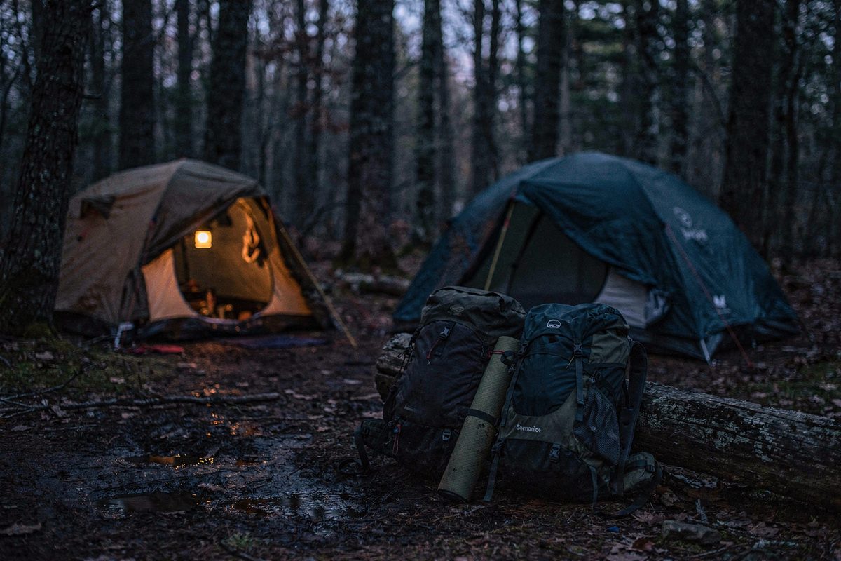 Two low tents pitched among trees at dusk with a single lantern glowing inside one